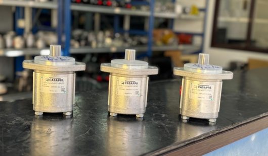 cas1